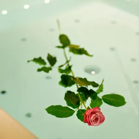 Viola Mhotel Grumello del Monte