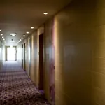 Viola Mhotel 4*