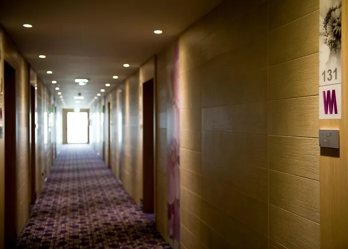 Viola Mhotel 4*